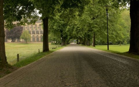 Allee Altenberg 